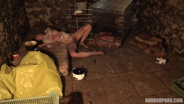 Caged Teen Fucked Hard