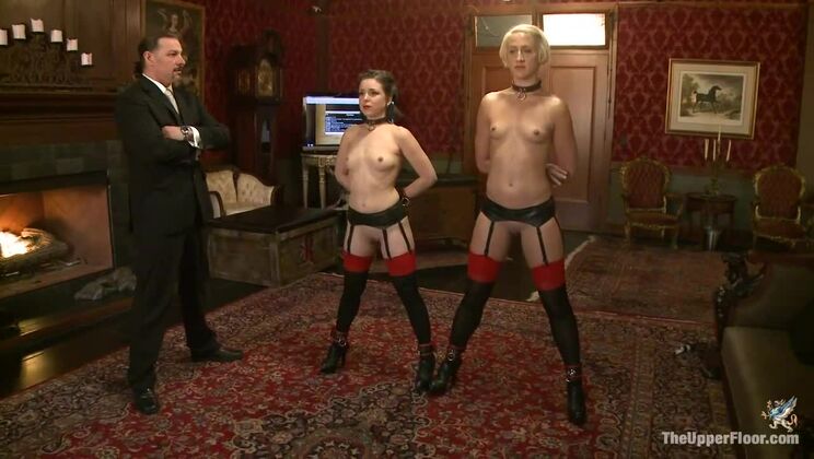Submissive Servant: Dylan and Juliette's BDSM Encounter