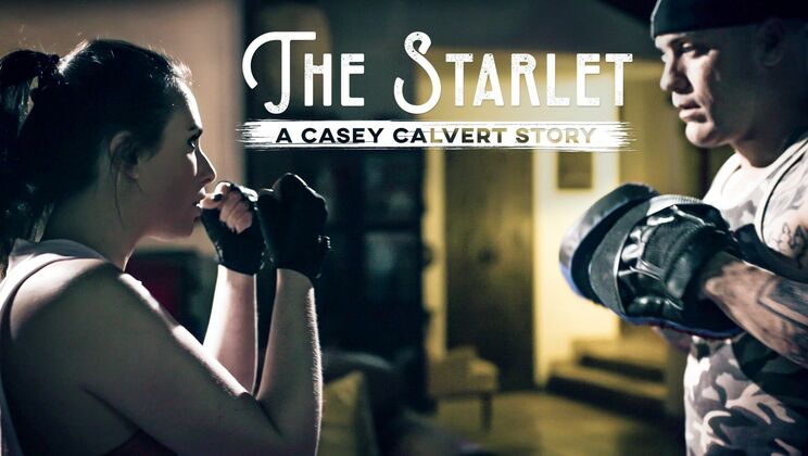Casey Calvert: Anal Starlet