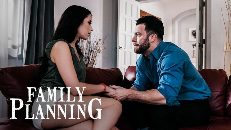 Stepfamily Seduction Plans