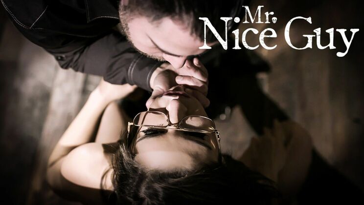 Mr. Nice Guy's Naughty Teen Fantasy
