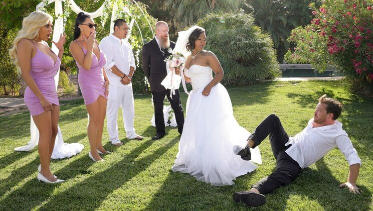 Fucked by All: The Bride's Revenge 2
