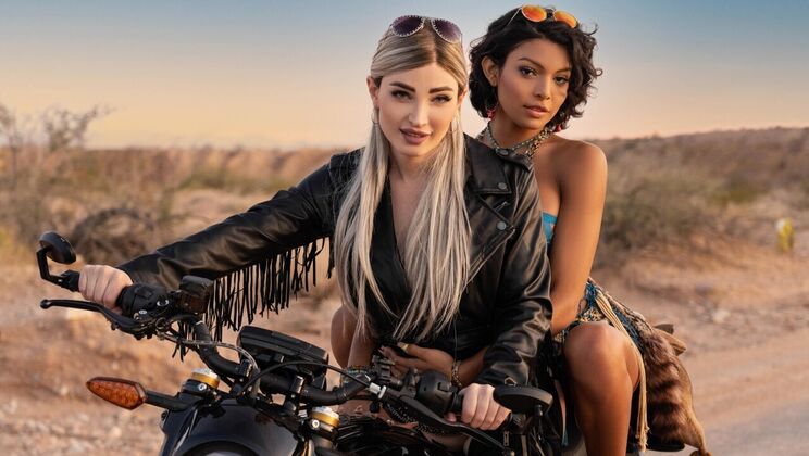 Ride Hard with Sexy Shemale Stars