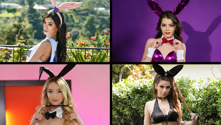 Hot Hare Honeys