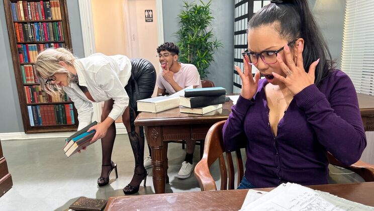 Librarian's Naughty Break