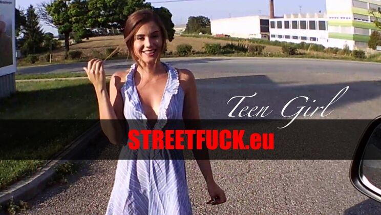 Girl's Roadside Encounter